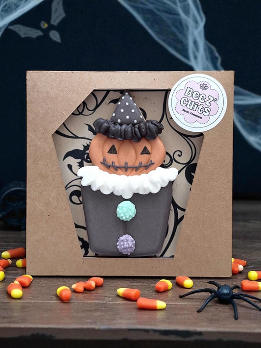 La citrouille Le coffret maxi biscuit